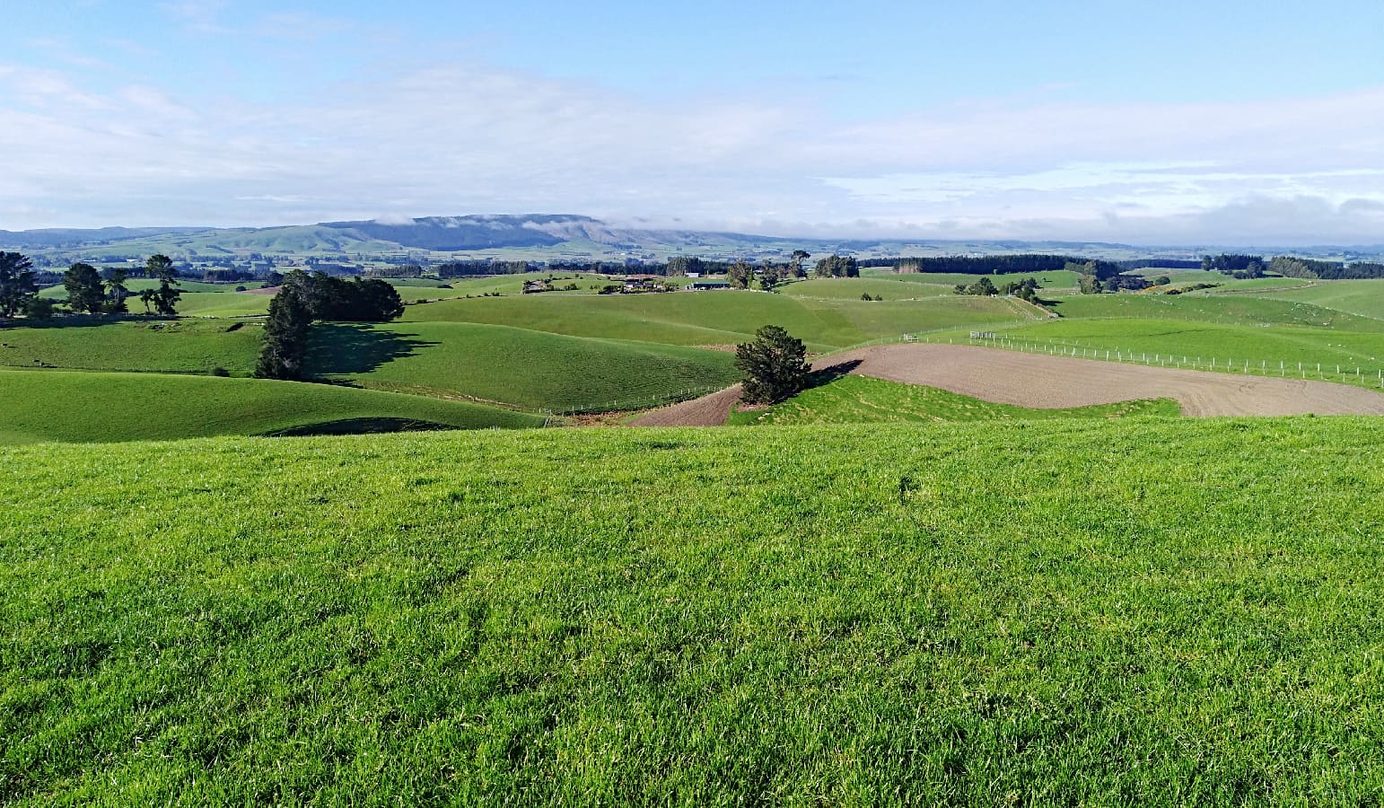 Terramark Home Intro